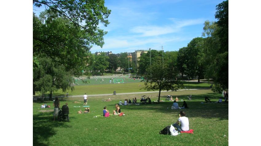 Vasaparken